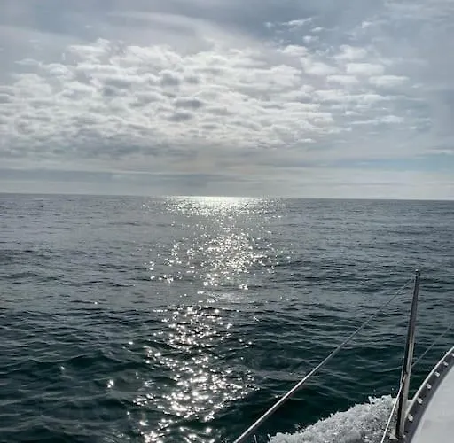 Tiny B Is Waiting For You! Botel Portimão