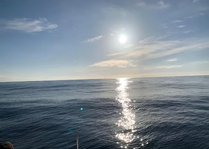 Tiny B Is Waiting For You! Botel