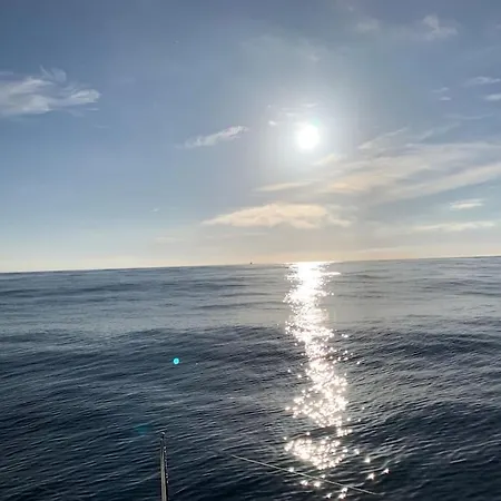 Tiny B Is Waiting For You! Botel