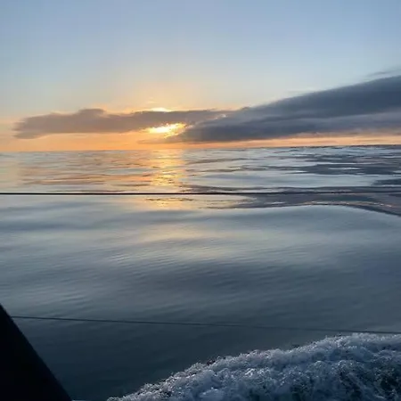 Tiny B Is Waiting For You!